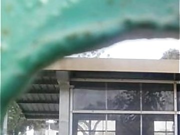 delhi ina metro back side.