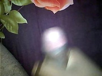 nmm 20160116 13 16 50 Pro